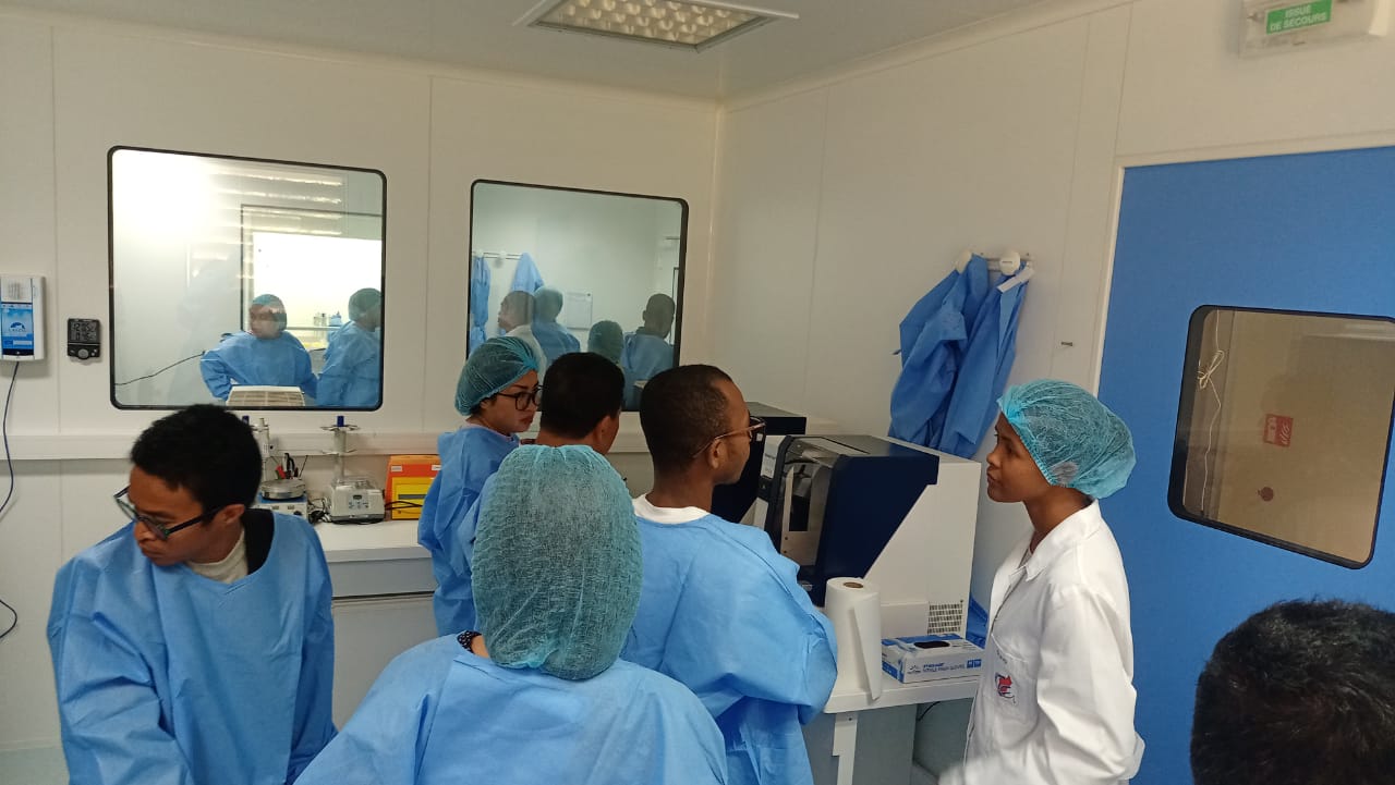 WhatsApp Image 2025-11-12 at 09.33.28_e7b4b528